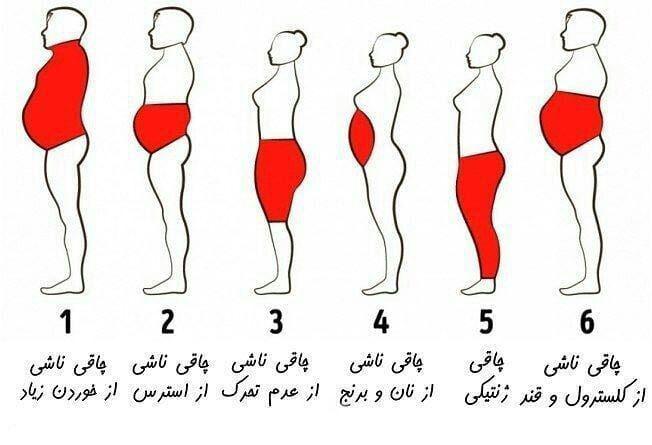 نقش مغز در پرخوری و چاقی